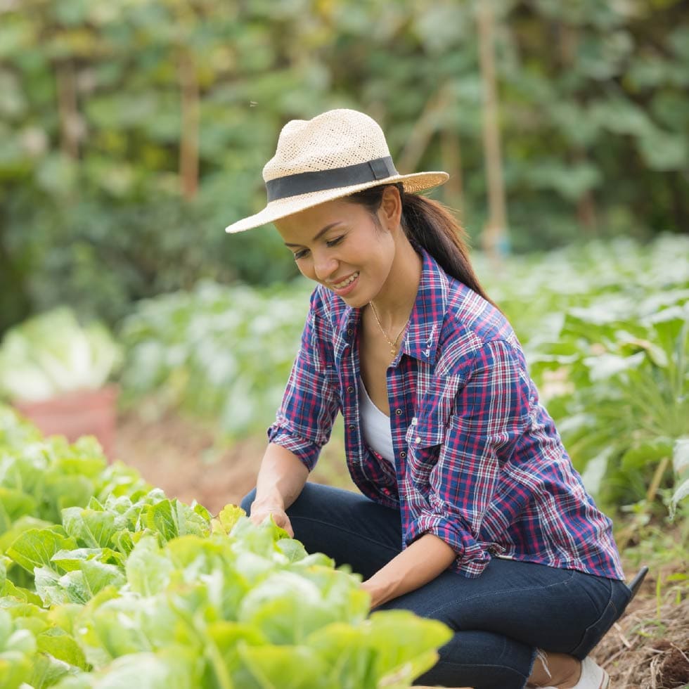 Técnico Laboral en Trabajador Agropecuario - Andes