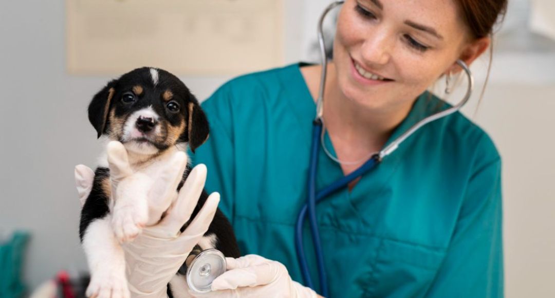 Convocatoria  Escuela Agropecuaria 2026