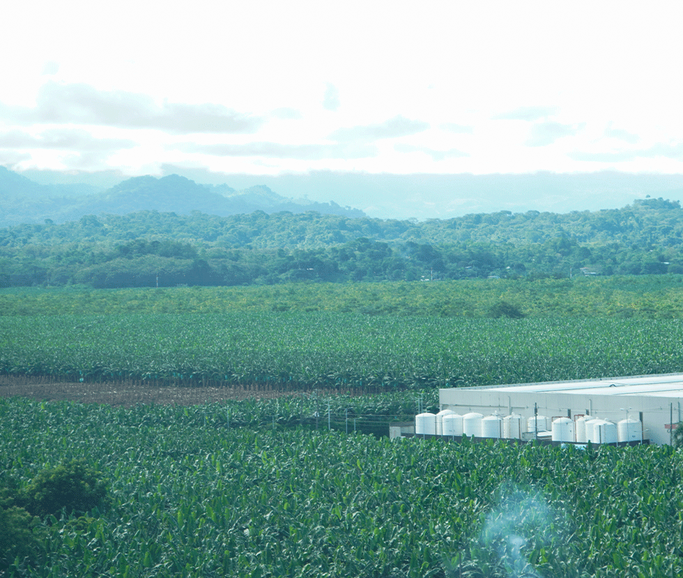 Descripción de la sede