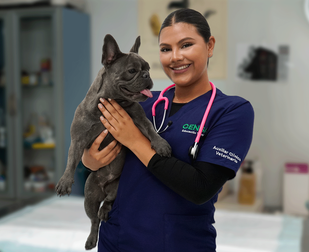 Técnico Laboral Auxiliar Clínica Veterinaria-Itaguí