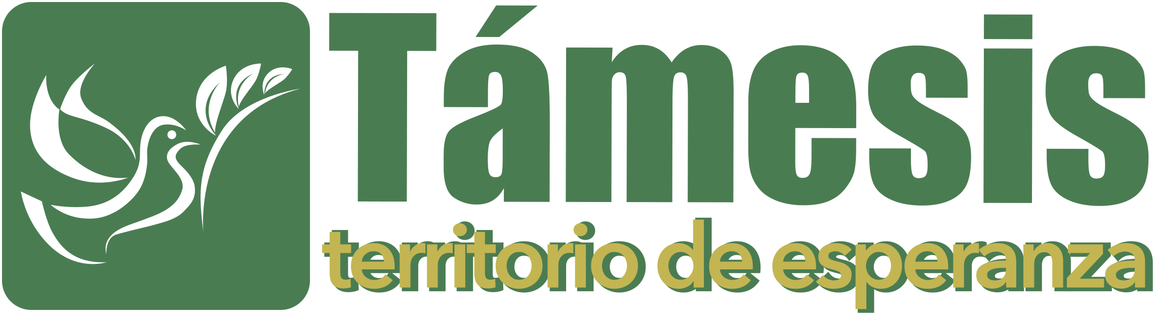 Logo Gobierno de Támesis-Antioquia